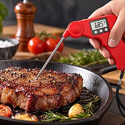 Dijital Katlanabilir Et Termometresi -50/+300°C - DİNC KİTCHEN (1)