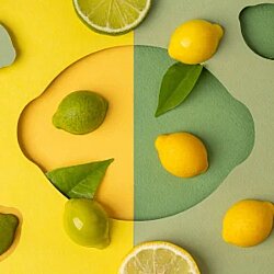 3D Limon Tritan Çikolata Kalıbı 21'li - 4