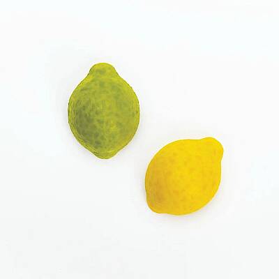 3D Limon Tritan Çikolata Kalıbı 21'li - 5