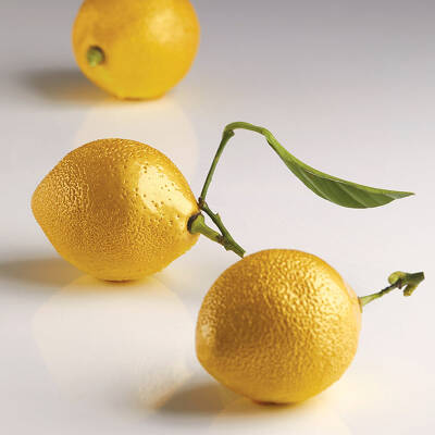 3D Limon Silikon Kalıp 8 Gözlü - 2